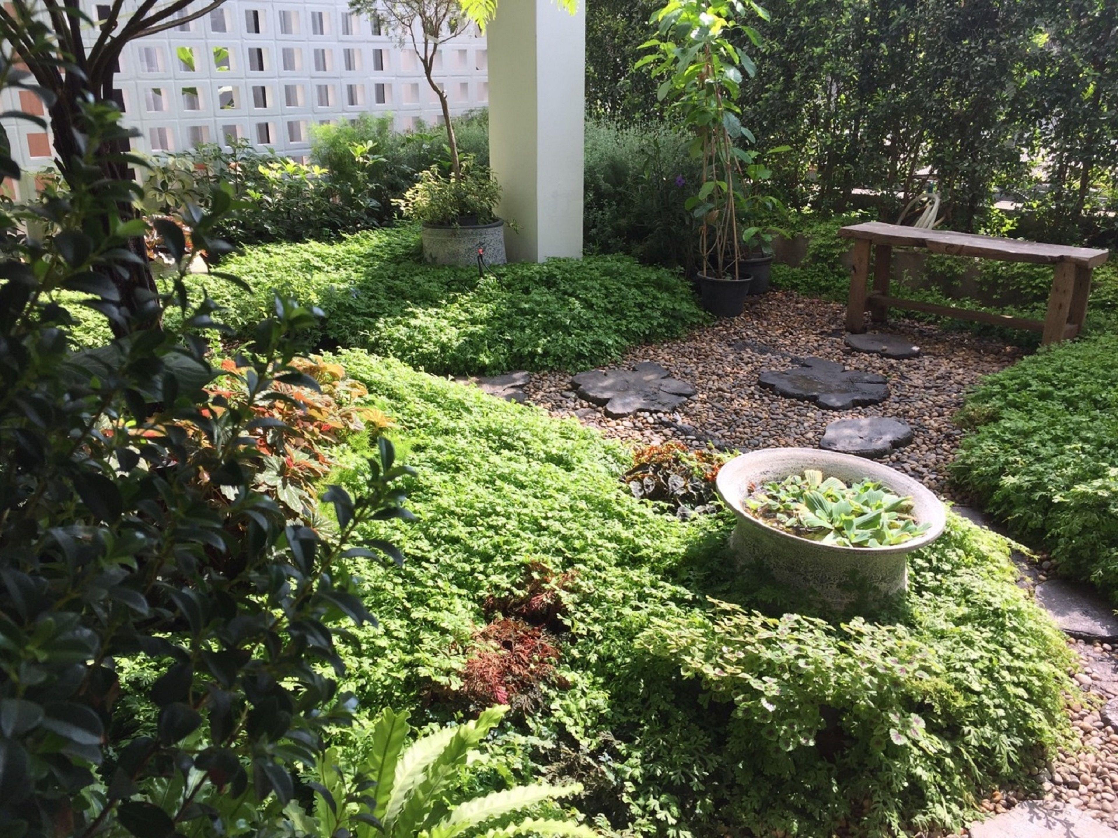 Homm Boutique Hotel, Chiang Mai